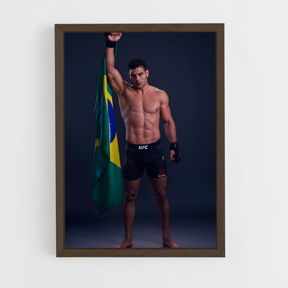 Poster L'Esprit Brésilien – affiche MMA (vue 5)